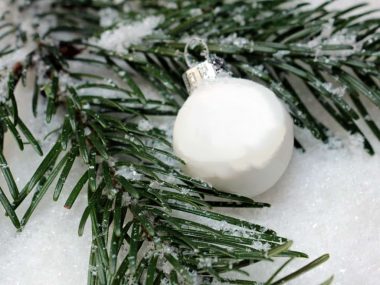 Sapin collecte